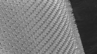 Purdue University researchers have created a drug delivery method using silicon nanoneedles with diameters 100 times smaller than a mosquito&rsquo;s needle. These nanoneedles are embedded in a stretchable and translucent elastomer patch that can be worn on the skin to deliver exact doses directly into cells.