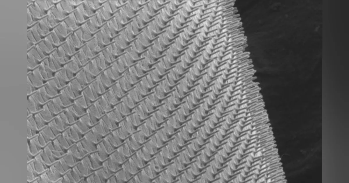 Dug Patch New Silicon Drug Patches Help Delivery Drugs Via Nanoneedles | Machine ...