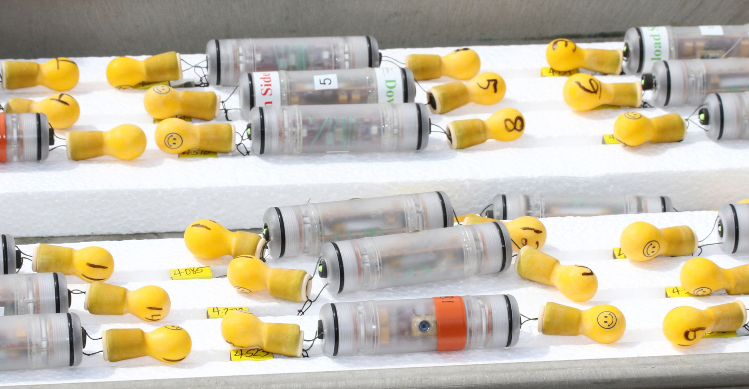 PNNL&rsquo;s Sensor Fish