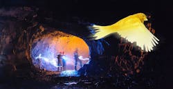 Canary in a mine Canary in a mine