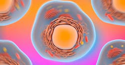 Cell Cell