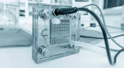 Fuel cell