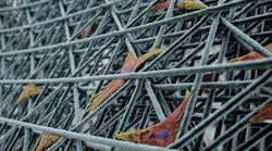 Microfilaments