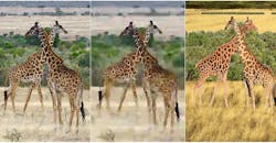 PROMO_G1_BrainBtr.jpg PROMO_G1_BrainBtr.jpg