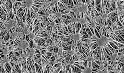 Machinedesign Com Sites Machinedesign com Files G4 Ptfe Under Microscope 1 Machinedesign Com Sites Machinedesign com Files G4 Ptfe Under Microscope 1