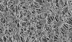 Machinedesign Com Sites Machinedesign com Files G4 Ptfe Under Microscope 1 Machinedesign Com Sites Machinedesign com Files G4 Ptfe Under Microscope 1