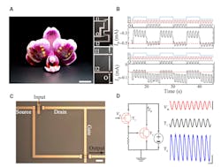 Machinedesign Com Sites Machinedesign com Files Ed Organic Transistor Fig2 Web Machinedesign Com Sites Machinedesign com Files Ed Organic Transistor Fig2 Web