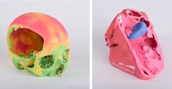 Skull model Skull model