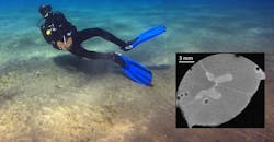 Scuba diver Scuba diver