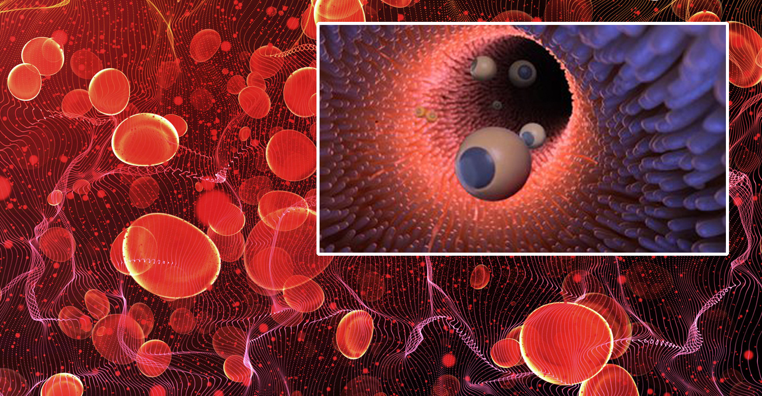 Microbots and blood cells