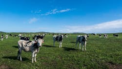 Machinedesign Com Sites Machinedesign com Files Cows Machinedesign Com Sites Machinedesign com Files Cows