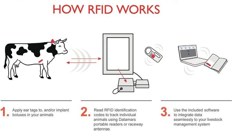 Machinedesign Com Sites Machinedesign com Files How Rfid Works1