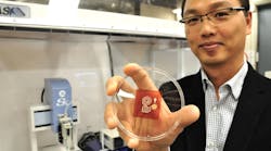 PROMO_ED_interest_wood_sensors_Fig1.jpg PROMO_ED_interest_wood_sensors_Fig1.jpg