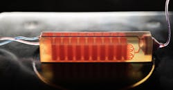 Machinedesign Com Sites Machinedesign com Files G1 Cancer Catcherl Machinedesign Com Sites Machinedesign com Files G1 Cancer Catcherl