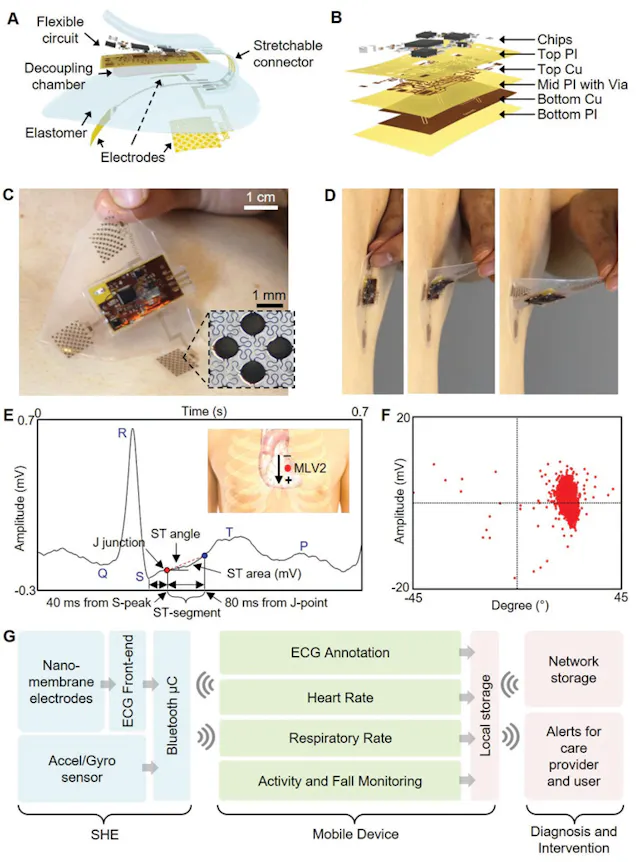 Stretchable Electronics, Polymer Layers Key to Wearable Multifunction ...