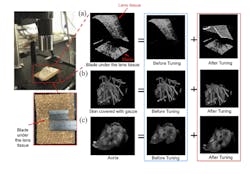 2. 3D high-SNR OCT imaging of samples with high-resolution topology: Images of the metal razor blade covered by the lens tissue (inset: a camera image of the experimental arrangement) (a); images of the skin sample covered with a gauze (b); images of the human aorta sample with high surface elevation (c). (Source: Columbia University)