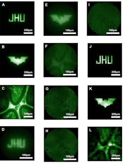 Here are imaging results from tests on the new microendoscope: Images A through C show beads on a slide viewed through a bulk microscope. D through F show the beads as viewed through a conventional, lens-based microendoscope. G through I show the beads as seen by the new lensless microendoscope. These raw images are purposefully scattered, but provide important information about light that can be used in computational reconstruction to create clearer images, shown in J through L. Here are imaging results from tests on the new microendoscope: Images A through C show beads on a slide viewed through a bulk microscope. D through F show the beads as viewed through a conventional, lens-based microendoscope. G through I show the beads as seen by the new lensless microendoscope. These raw images are purposefully scattered, but provide important information about light that can be used in computational reconstruction to create clearer images, shown in J through L.