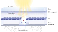 Moisture and water wear away at the entire outer surface of a solar panel&rsquo;s backsheets, but they crack more quickly in the area between solar cells where sunlight shines through. NIST researchers propose that degradation is worse there because acetic acid, which forms when sunlight hits the rubbery upper layers passes between the solar cells toward the backsheets, causing them to decay from the inside out.