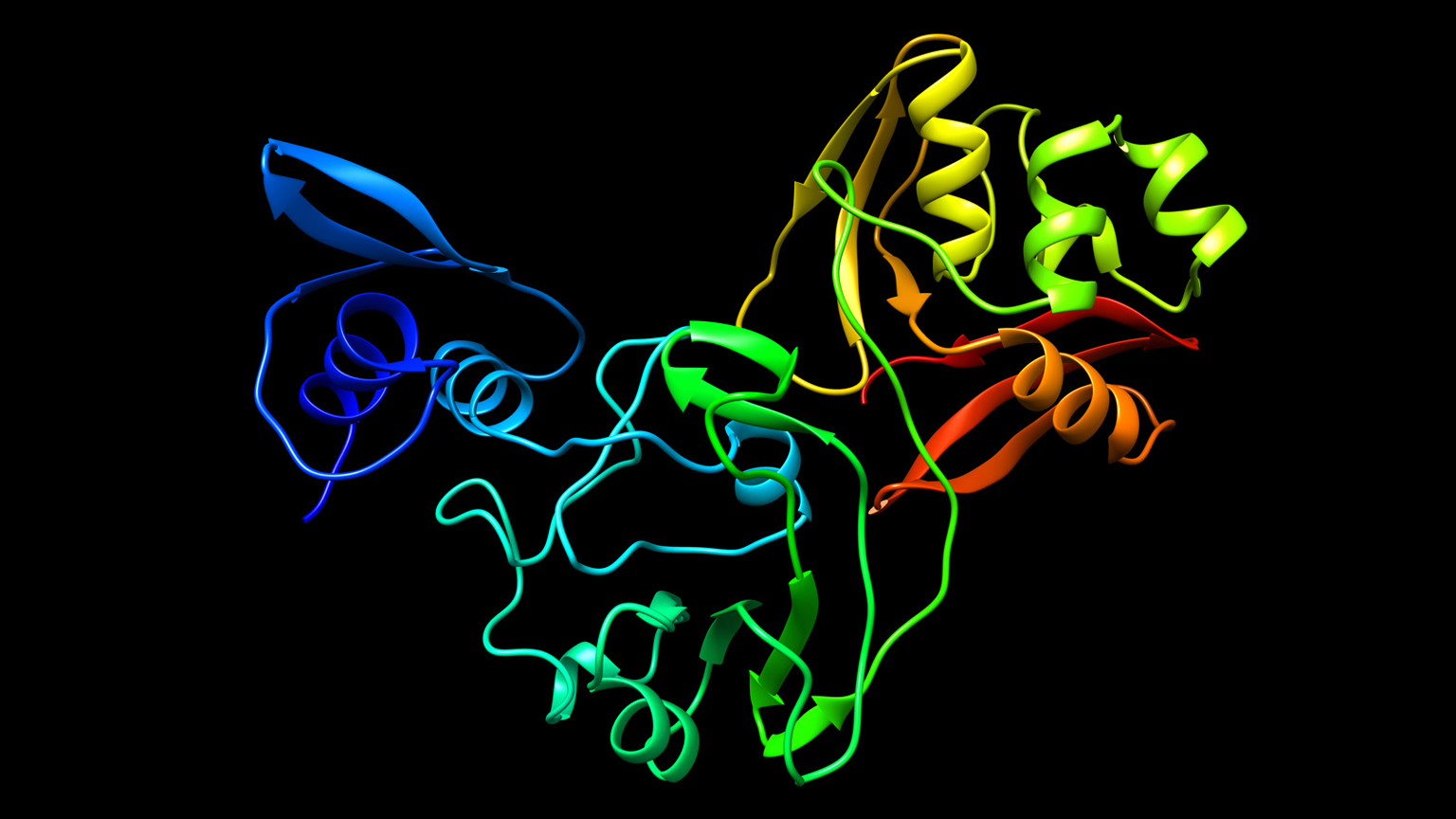 The Nsp15 protein