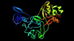 The Nsp15 protein