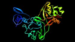 The Nsp15 protein The Nsp15 protein