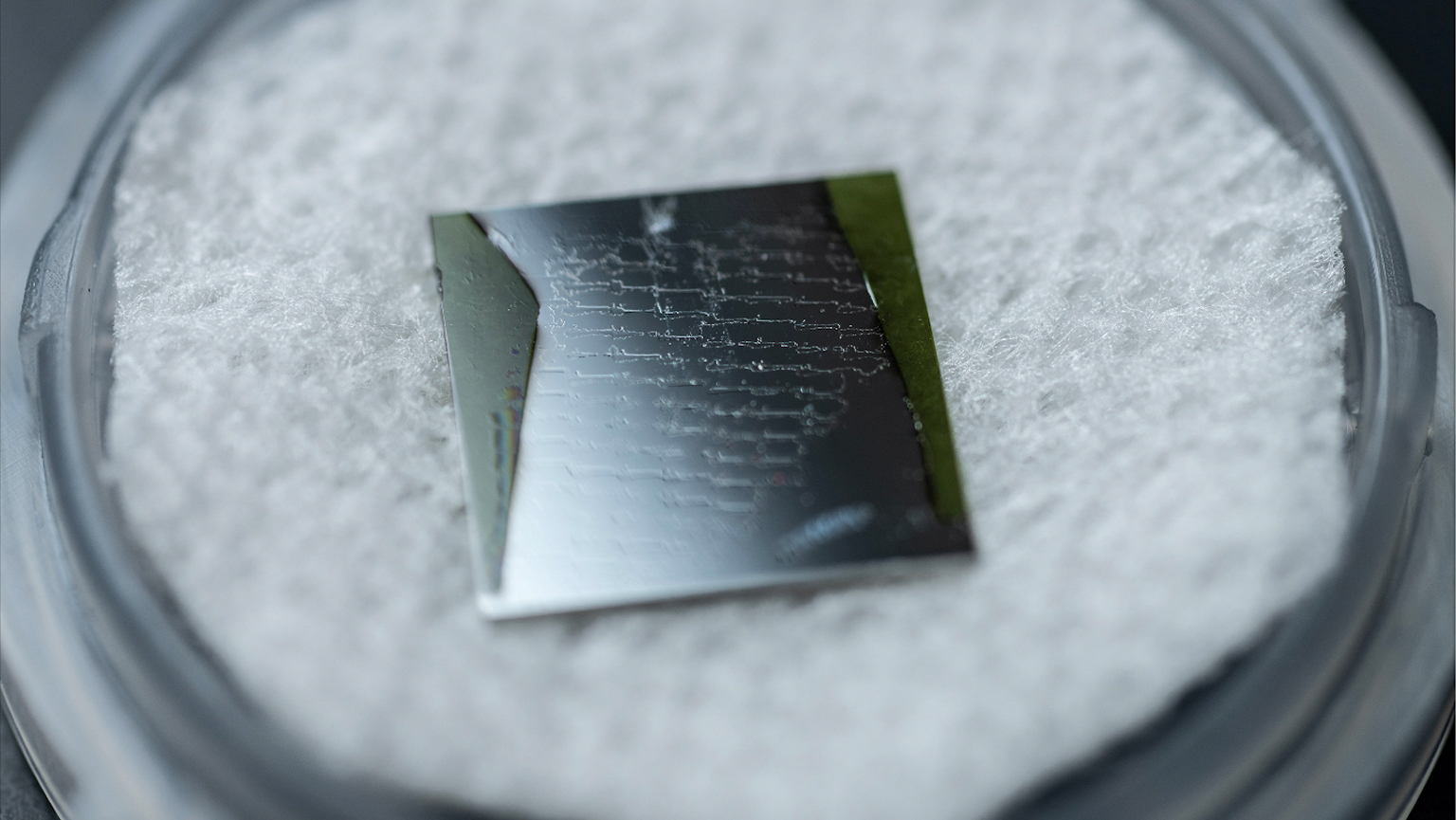 Polished GaN-SiC samples