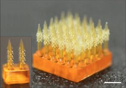 A microneedle array has backward-facing barbs that interlock with tissue when inserted, enhancing adhesion. A microneedle array has backward-facing barbs that interlock with tissue when inserted, enhancing adhesion.