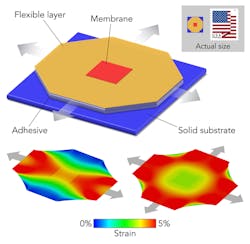 To see how strain affects the electronic properties of a brittle oxide material, researchers at SLAC and Stanford turned it into a super-thin, flexible membrane, attached it to a flexible material, used micromanipulators to stretch it on a tiny apparatus and glued it in place to preserve the stretch. The technique can be used to study and design a broad range of materials for use in things like sensors and detectors. To see how strain affects the electronic properties of a brittle oxide material, researchers at SLAC and Stanford turned it into a super-thin, flexible membrane, attached it to a flexible material, used micromanipulators to stretch it on a tiny apparatus and glued it in place to preserve the stretch. The technique can be used to study and design a broad range of materials for use in things like sensors and detectors.