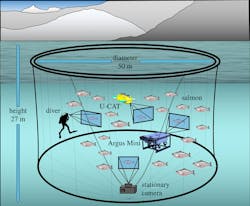 Illustration of the salmon farm sea cage test environment (not to scale). The stationary camera in the sea cage was used to analyze fish’s tailbeat frequency and distance as the dependent parameter in the presence of the human diver, the flipper-propelled U-CAT and the thruster-driven Argus Mini. In addition, the tailbeat frequency was assessed using GoPro3 cameras mounted on the human diver, as well as the U-CAT and Argus Mini underwater robots. Illustration of the salmon farm sea cage test environment (not to scale). The stationary camera in the sea cage was used to analyze fish’s tailbeat frequency and distance as the dependent parameter in the presence of the human diver, the flipper-propelled U-CAT and the thruster-driven Argus Mini. In addition, the tailbeat frequency was assessed using GoPro3 cameras mounted on the human diver, as well as the U-CAT and Argus Mini underwater robots.