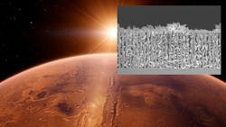 Scanning electron micrograph Scanning electron micrograph