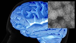 Brain and nanodevices Brain and nanodevices
