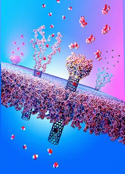 Responsive nanotube membranes protect against bioweapons and viruses. Polymer chains on the membrane surface collapse when that surface is contaminated, preventing nerve agents like sarin from entering the pores. In safe environments, the polymer chains remain extended and allow rapid transport of water vapor, thus making the material breathable.