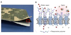 A three-layer laminate for a protective military garment consists of a nylon/cotton outer-shell fabric with a camouflage pattern, an intermediate protective carbon-nanotube membrane and a cotton comfort liner. A schematic (right) shows the membrane’s response to an “attacking” chemical. The collapse of actuating polymer chains grafted on the membrane surface prevents nerve agents from entering the membrane’s pores. A three-layer laminate for a protective military garment consists of a nylon/cotton outer-shell fabric with a camouflage pattern, an intermediate protective carbon-nanotube membrane and a cotton comfort liner. A schematic (right) shows the membrane’s response to an “attacking” chemical. The collapse of actuating polymer chains grafted on the membrane surface prevents nerve agents from entering the membrane’s pores.