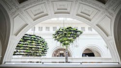 Nature Clouds Nature Clouds