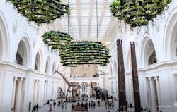 Nature Clouds Nature Clouds