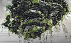 Nature Clouds Nature Clouds