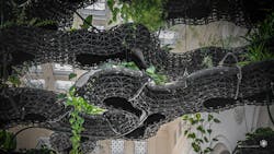 Nature Clouds Nature Clouds