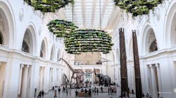 Nature Clouds Nature Clouds