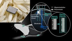 Image collage Image collage