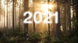 2021 through the woods
