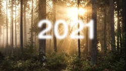 2021 through the woods 2021 through the woods