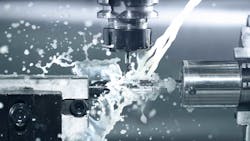 IP protection IP protection