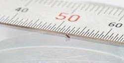 Advanced machining can tun out small, precision screws and other fasteners. Advanced machining can tun out small, precision screws and other fasteners.