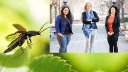 Aimy Wissa, Marianne Alleyne and Ophelia Bolmin Aimy Wissa, Marianne Alleyne and Ophelia Bolmin