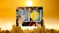 Solar cell Solar cell