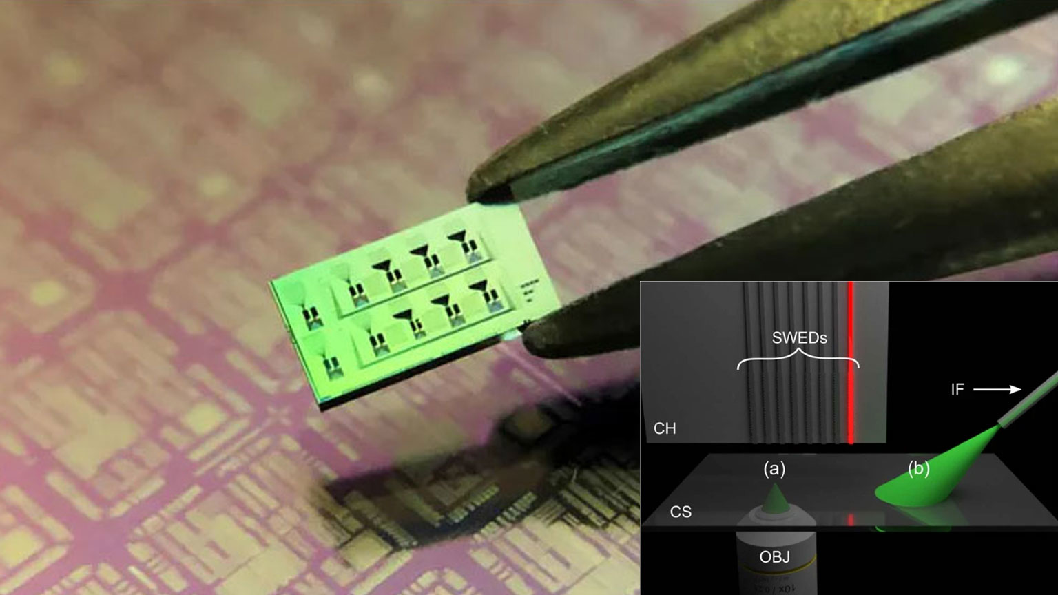 Prom Oschweber 1 60180bc12691c 6018740df378f