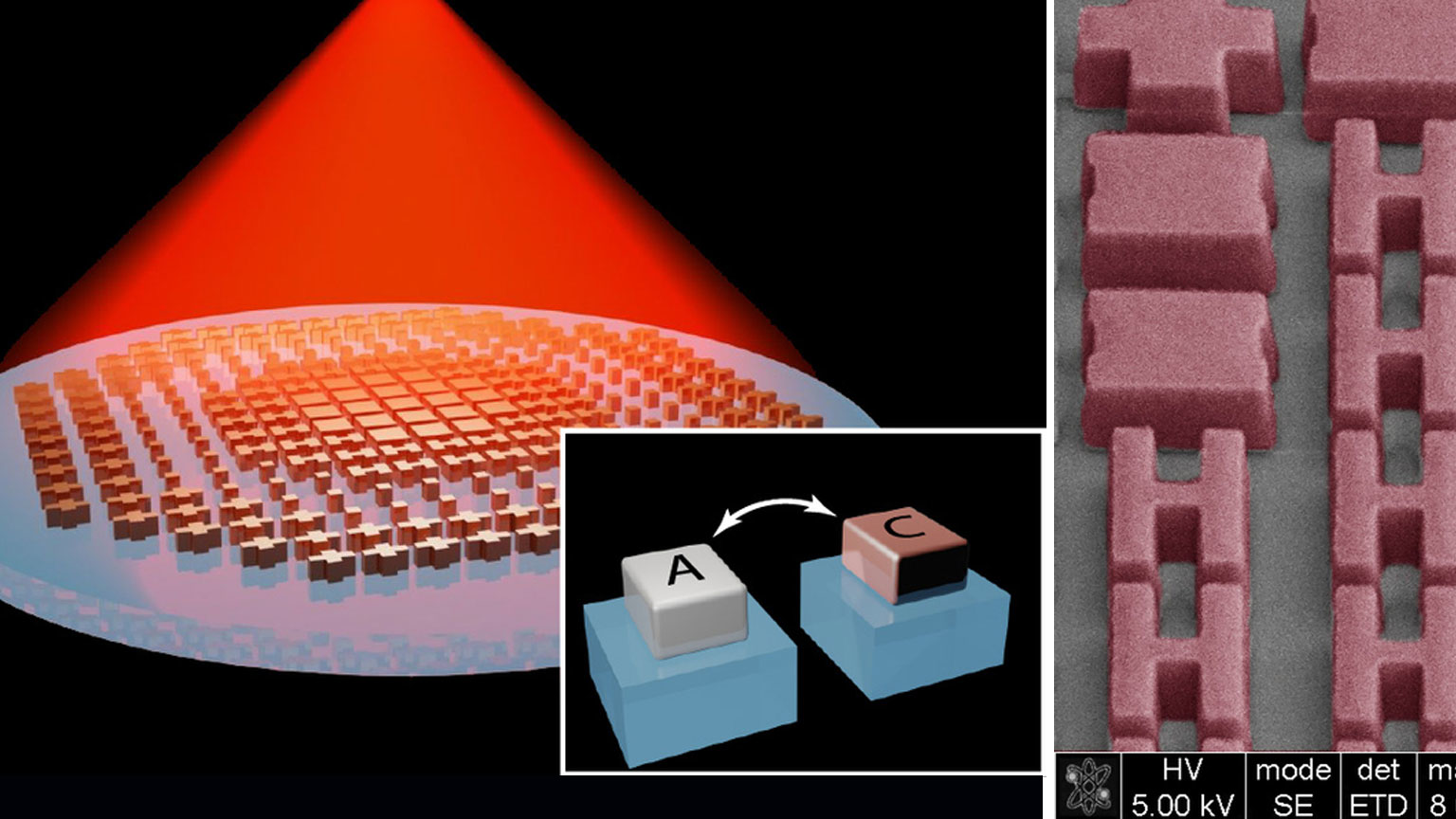 Metalens image collage