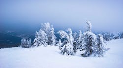 Snowy landscape Snowy landscape