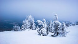 Snowy landscape Snowy landscape