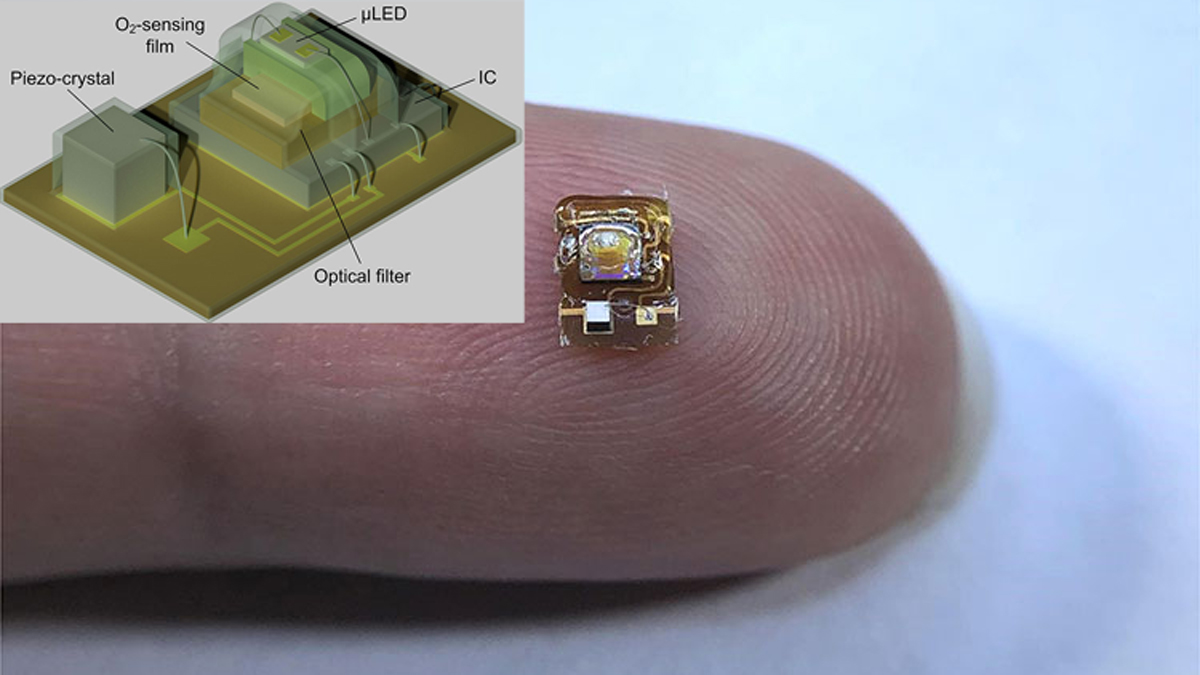 Sensor on fingertip for scale, with inset photo of sensor schematic